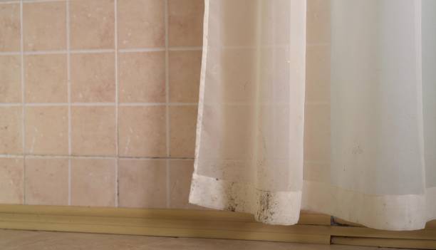 Best Mold Remediation for Healthcare Facilities  in Meridian Village, CO
