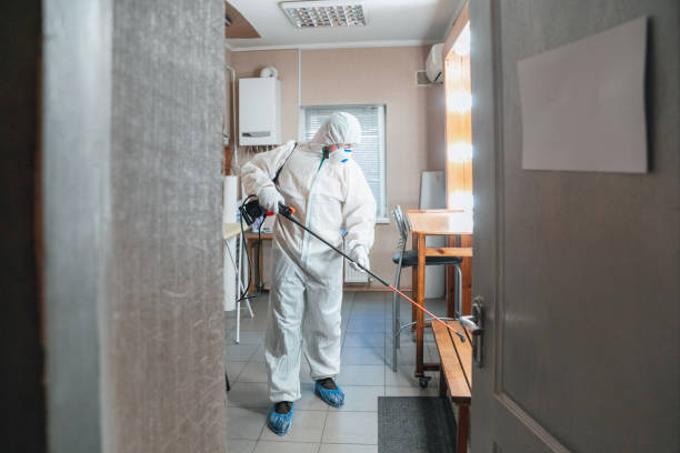 Best Mold Removal for HVAC Installations  in Meridian Village, CO