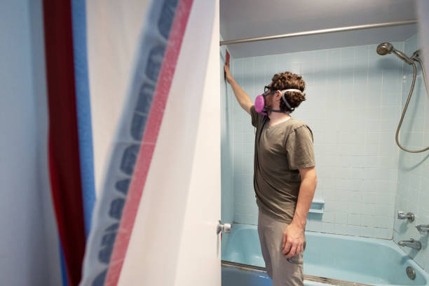 Best Airborne Mold Testing  in Meridian Village, CO