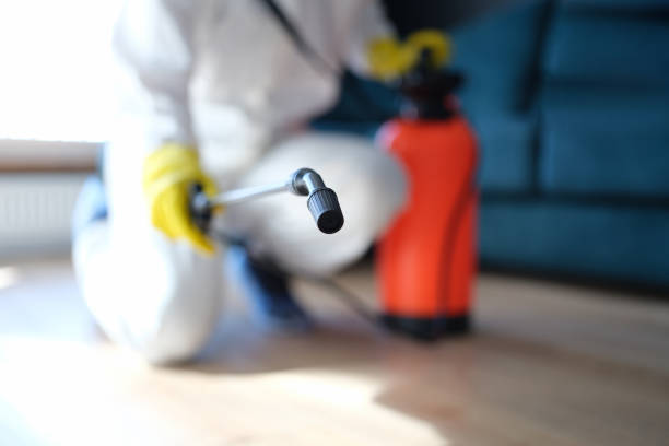 Best Indoor Air Quality Assessment  in Meridian Village, CO