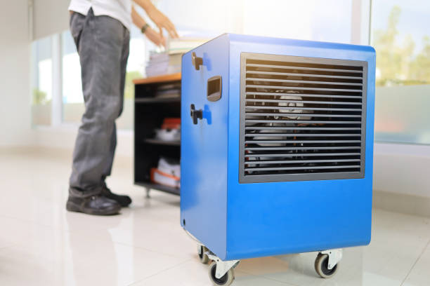 Best Industrial Mold Remediation  in Meridian Village, CO
