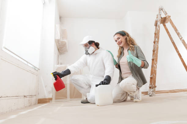 Best Post-Construction Mold Inspection  in Meridian Village, CO