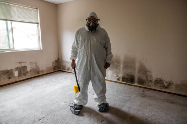 Best HVAC Mold Inspection and Cleaning  in Meridian Village, CO